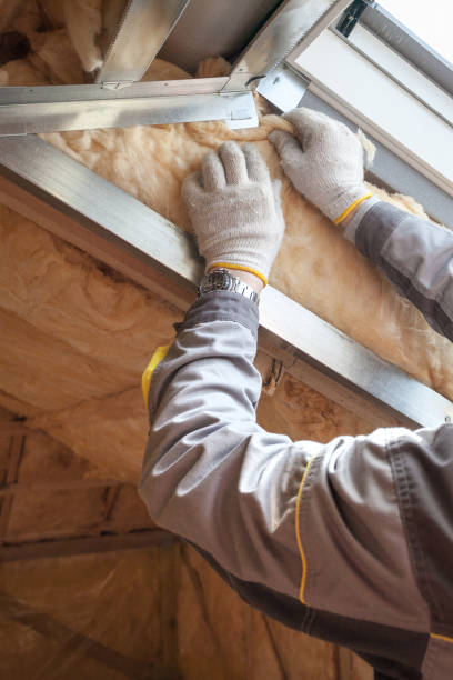 Best Insulation Installation Services in Lakeside Park, KY